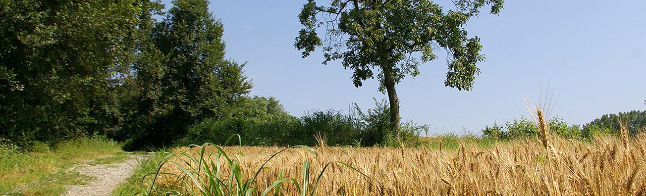 Gli ambienti e i sentieri