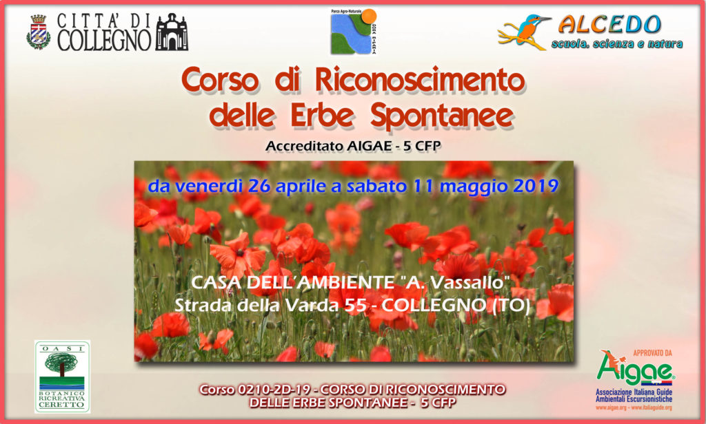 Eventi