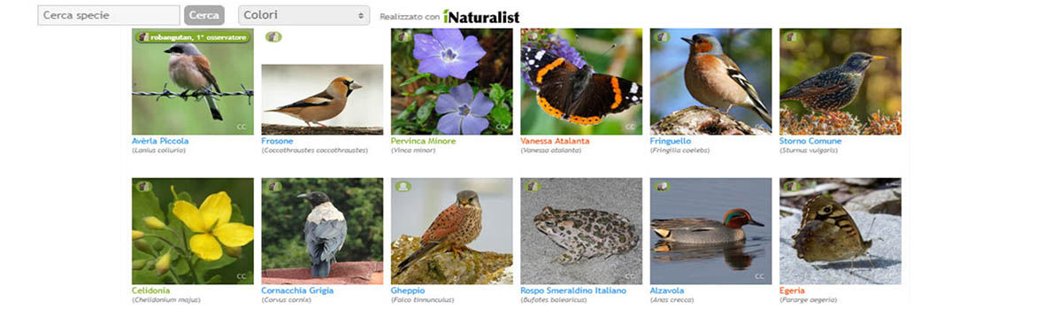 Il progetto iNaturalist